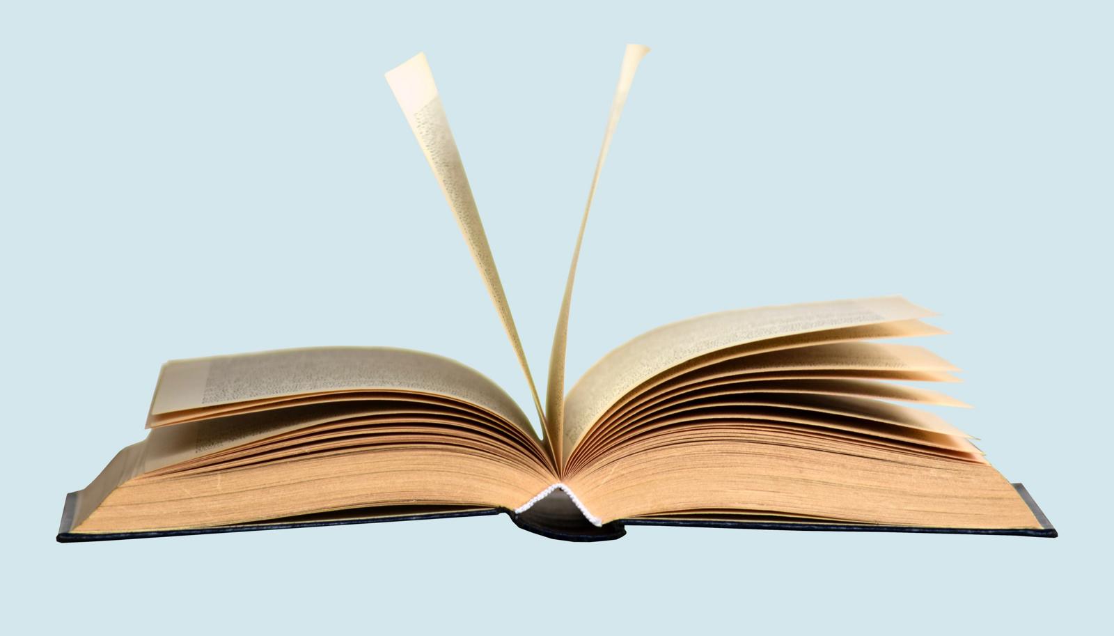 WhatsApp Image 2024-03-31 at 5.55.45 PM